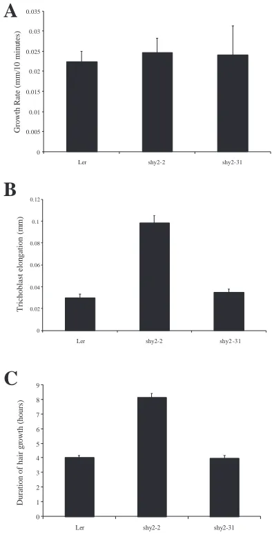 Fig. 4. shy2-2lapse analysis. (A) Mean root hair growth rate calculated fromimages taken at 10-minute intervals after the transition to tip growth.Growth rate is therefore presented as mean increase in length per 10-minute interval