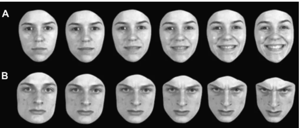 Figure 1. The Emotion Recognition Task shows (A) the gradual transition from neutral  (0%)  to  the  full-blown  emotion  of  happiness  (100%)  in  steps  of  20%,  and  (B)  the  gradual transition from neutral (0%) to the full-blown emotion of anger (10