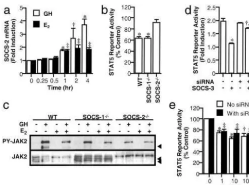 Fig. 7.SOCS. (a) Effects of E2 and GH on SOCS-2 expression in HEK293 cells