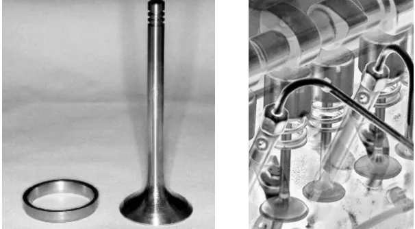 Figure 2.  Valve, Seat Insert and Valve Operating System 