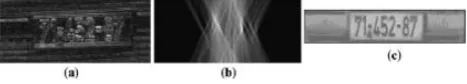 Fig. 7 Result of combination of Counter and Hough transform method [9] 