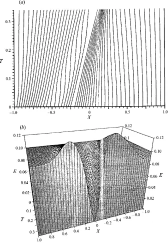 FIGURE 6(a,b). For caption see facing page. 