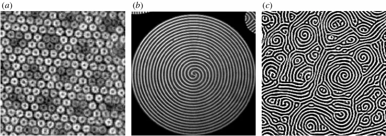 Figure 7. Other experimentally observed examples of pattern formation. (ahexagons in a two-frequency forced Faraday wave experiment