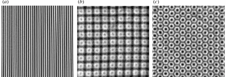 Figure 1. Examples of experimentally observed patterns, viewed from above. (a) Stripes (straightrolls) in Rayleigh{B¶enard convection