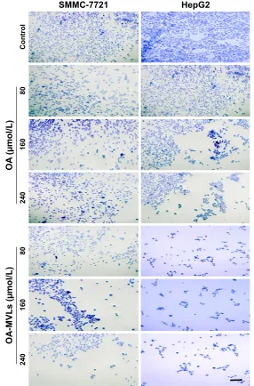 Figure 4 (Continued)