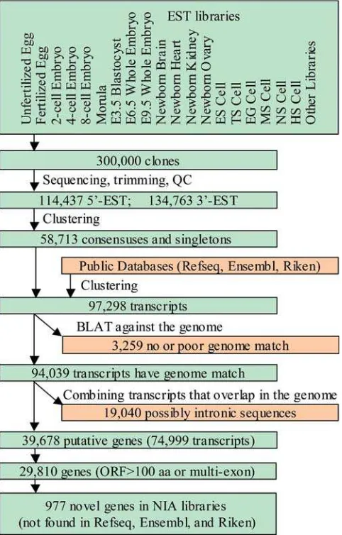 Figure 1. Flow Chart of Sequence Data Analysis
