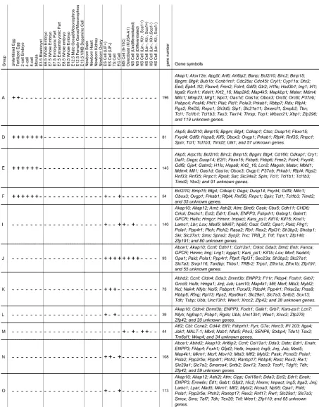 Figure 3. Signature Genes for Specific Groups of Early Embryos and Stem CellsDOI: 10.1371/journal/pbio.0000074.g003