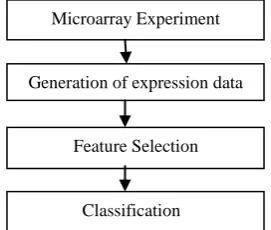 Figure 1. Various steps in the cancer prediction system 