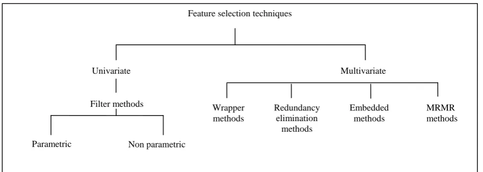 Figure 2. Taxonomy of feature selection techniques 