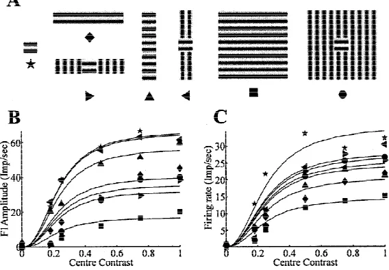 Fig. 2. Effects of each surround stimulus (A) on response gainfrom curve to curve. The presence of a large annular gratingof the same orientation as the grating on the classical recep-tive field was most effective in reducing the response gain ofof a simpl