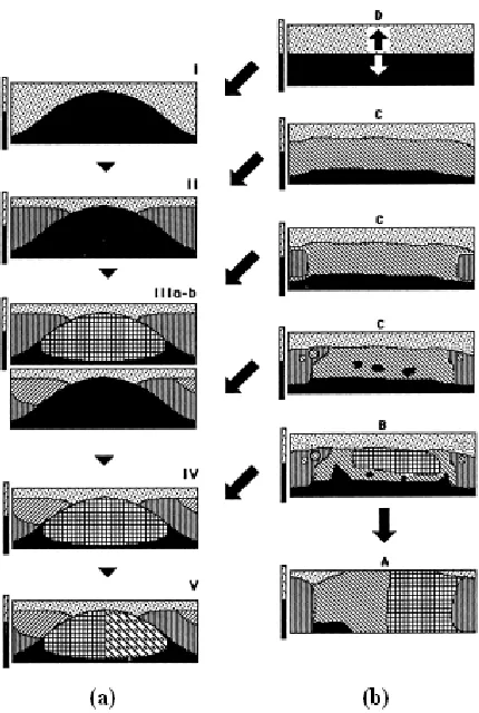 Figure 1.2 – Hue (a) and Brightness (b) sequences (MacLaury, 1992, p. 160, original drawing)