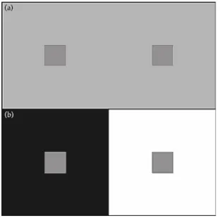 Figure 1.3a,b – An example of simultaneous contrast. The small grey squares used on the grey background are the same as those used in the black and white background (Fairchild, 2005, p