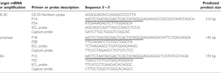 Table 2Primers and probes used for the ampliﬁcation and detection of target mRNA using NASBA