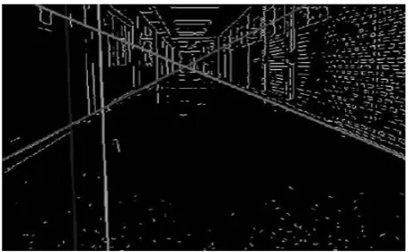 Fig. 6 Edge detection using higher-order neural units. 