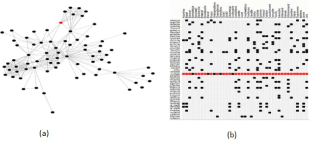 Figure 2.2: Two different representations of graph data, node-link (a) and matrix (b)