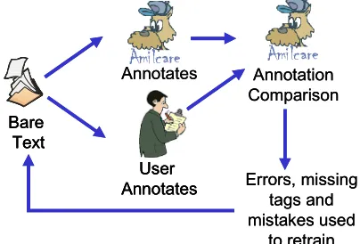 Figure 1.  The training with verification sub-phase. In this figure Amilcare is used as example of adaptive IES