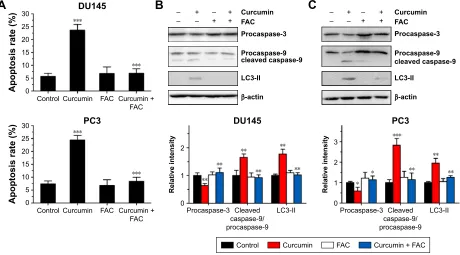 Figure 6 iron reduces the cytotoxicity of curcumin.Notes: DU145 (A) and Pc3 (B) cells were incubated for 24 h with various concentrations of curcumin mixed with Fac at different ratios