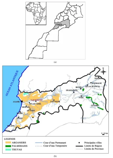 Figure 1. (a) General map showing the location of souss massa draa (SMD) region in morocco (in northern africa); (b) Detailed map showing the location of taliouine city in the souss-massa draa region of morocco