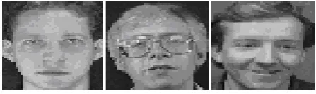 Fig. 5:   Examples of image variations from the ORL  face database 