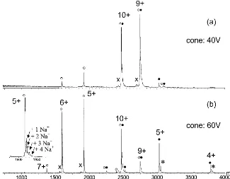 Fig. 7. Nano-ESI mass spectra of the E9 DNase-Im9-Zn complex in 50 mM ammonium acetate at pH 7.2 at cone voltages of 40 VDNase-Im9-Zn complex