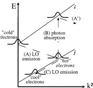 FIG. 3. Diagram showing �A� inter-subband LO phonon emission causingelectron heating in the lower subband j, �B� optical pumping from subbandj to i, and �C� intra-subband LO phonon emission causing electron cooling.