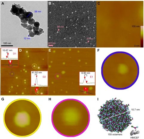 Figure 10 TeM, seM and aFM images of hMceF, as well as the prediction of a nanoparticle of 10.7 nm in diameter by mesoscale simulation.Notes: (A) TeM image of hMceF in ultrapure water (ph 7.0, 10-6 M) and amplified nanoparticle of 10 nm in diameter, which 