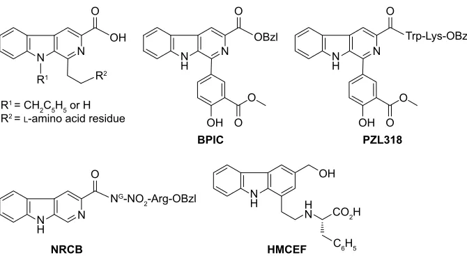 Figure 1 structural similarity of N-[2(3-carboxyl-9-benzyl/h-carboline-1-yl)ethyl-1-yl]-amino acids, BPic, PZl318, nrcB and hMceF.Abbreviations: arg, argnine; BPic, benzyl 1-(4-hydroxy-3-methoxycarbonyl-phenyl)-9h-pyrido[3,4-b]indole-3-carboxylate; hMceF, N-(3-hydroxymethyl-β-carboline- 1-yl-ethyl-2-yl)-l-Phe; lys, lysine; nrcB, benzyl Nω-nitro-Nα-(9h-pyrido[3,4-b]indole-3-carbonyl)-l-argininate; OBzl, benzyl ester; PZl318, N-[1-(3-methoxycarbonyl- 4-hydroxyphenyl)-β-carboline-3-carbonyl]-Trp-lys-OBzl; Trp, tryptophan.
