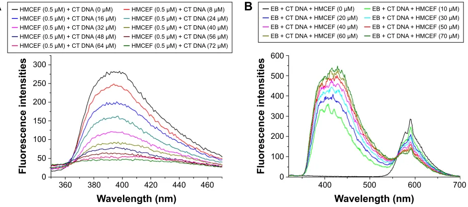 Figure 4 Fluorescence spectra of hMceF.(final concentrations: 0, 8, 16, 24, 32, 40, 48, 56, 64 and 72 Notes: (A) Fluorescence spectra of hMceF in PBs buffer (concentration: 0.5 μM, ph =7.4, λex =254 nm) explain the fluorescence quenching induced by 10 μl o