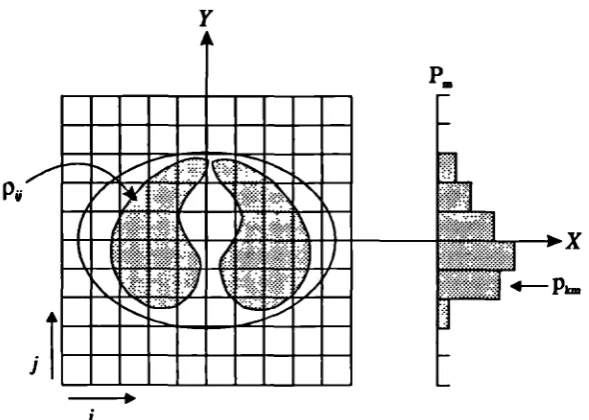 Figure 1.7. Discrete representation of the activity distribution p1• Projection dataare represented by p,1 where k indicates the projection bin and m the projectionangle.