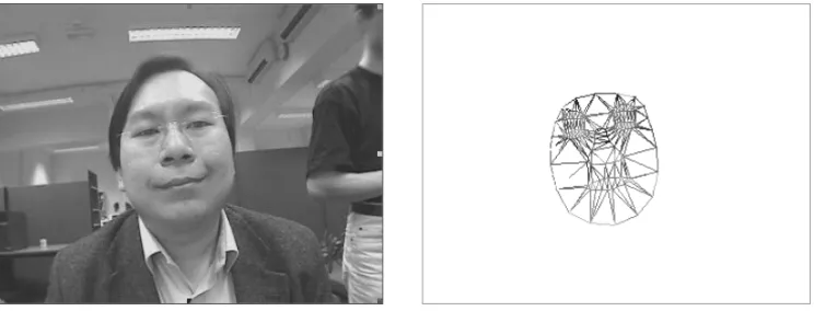 Figure 8. Live video input (left), and the triangulated tracked face shape (right).