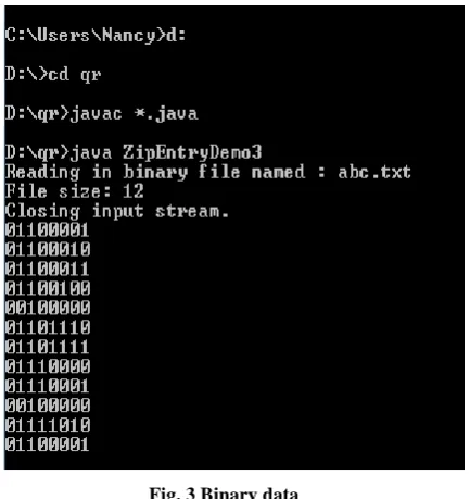 Fig. 3 Binary data 