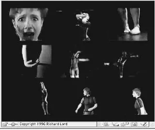 Fig. 1. Screenshot of Progressive 2 web site video windows <http://www.webdances.com/pro2.php3>