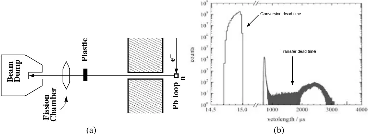 Fig. 1. (a) A schematic view of detector setup. (b) A simulated conversion dead time and transfer dead timespectra.