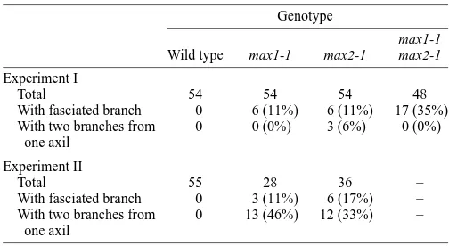 Table 3. Morphometry of the rosette leaf of node 11 (fromthe base) in wild-type, max1-1 and max2-1 plants