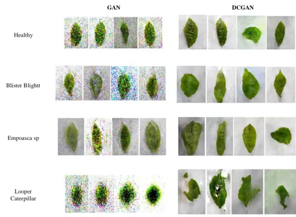 Figure 9. Example of the results of image augmentation data on DCGAN 1000 