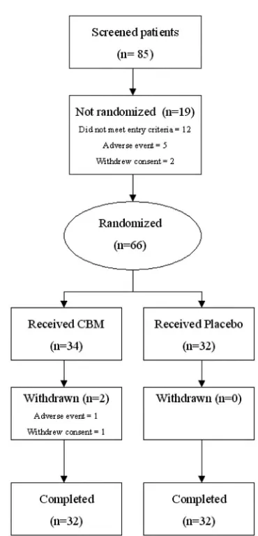 Figure 1. Profile of patients at each stage of the study.