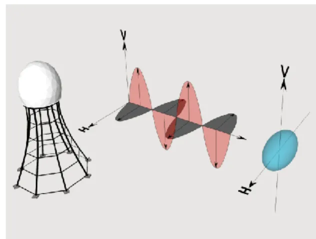 Fig 1: waves of horizontal and vertical orientations.  