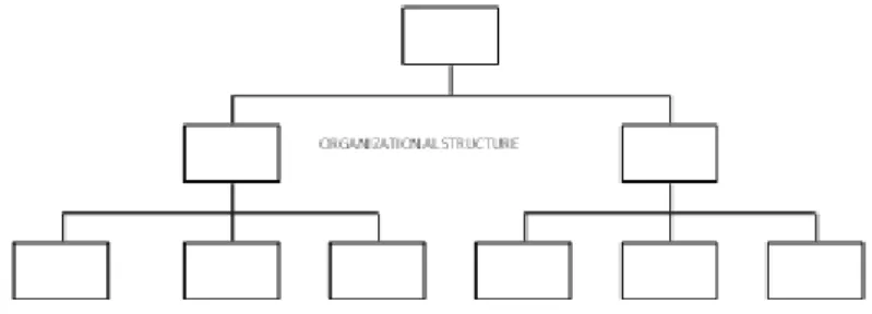 Figure 2: Hierarchical organizational structure 