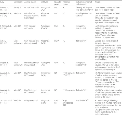 Table 3 Intrahepatic animal stem cell tracking studies with reporter genes