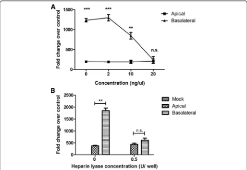 Fig. 7 Treatment with ι-carrageenan or heparin lyase selectively inhibits basolateral EBOV infection