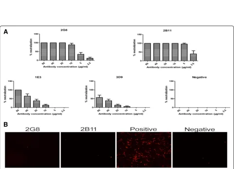 Fig. 3 Detection of their antigenicity for mAbs by IFA. The different mAb used for the assay are indicated at the top