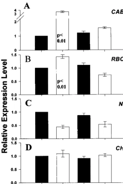 Fig. 3.The effect of light on PQ redox state in starved and sucrose-repleteand Methodsover the range of indicated light intensities (5–155PAR) and the redox state of PQ was calculated as (cells