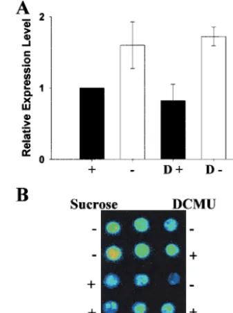 Fig. 5.DCMU does not repress photosynthetic genes of the nucleus. CellMaterials and Methodsadded after samples had been starved for 24 h