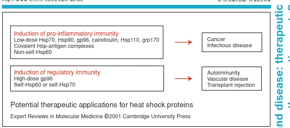 Figure 5. Potential therapeutic applications for heat shock proteins. The potential therapeutic valueof heat shock proteins (Hsps) purified from appropriate tissues lies in their capacity to induce pro-inflammatoryresponses at low concentrations and induce