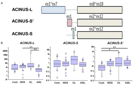 Figure 3. RT-PCR analyses of the expression of splicing variants ACINUS-L, ACINUS-S, and ACINUS-S’