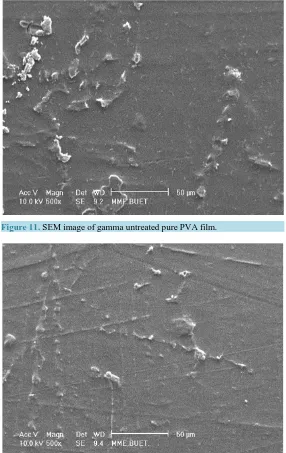 Figure 11. SEM image of gamma untreated pure PVA film.                     