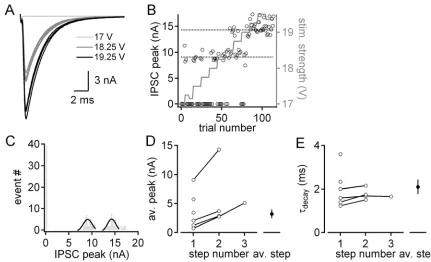 Figure 3. 2 Inhibitory fibre inputs to MSO neurons estimates with classical minimal stimulation 