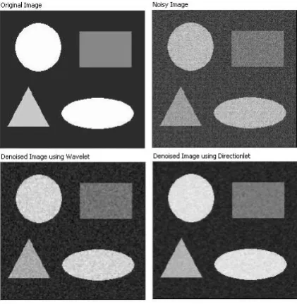 Fig. 6 shows a simulated SAR image, its noisy version and despeckled images obtained by wavelet and directionlet based schemes