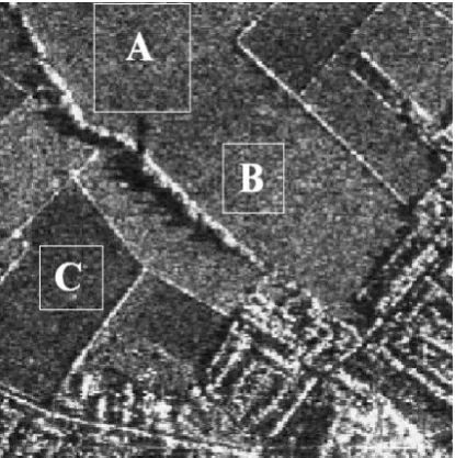Figure.11. The de-speckled image using Gamma MAP filter  