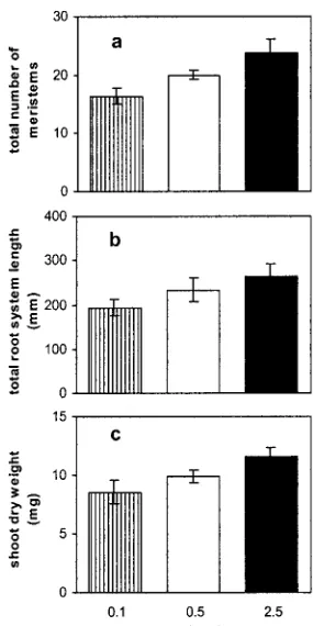 Figure 2. The effect of phosphate availability on the whole plant rootand shoot. Data are presented for 14-d-old plants for the total num-ber of readily visible root meristems (a) and the total root systemlength (b)
